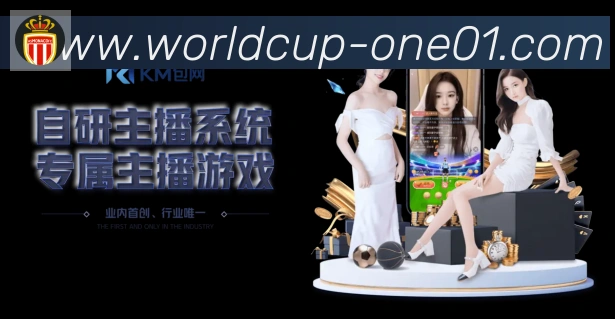 未来规划